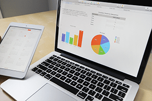 Internal Financial Controls Internal Financial Controls